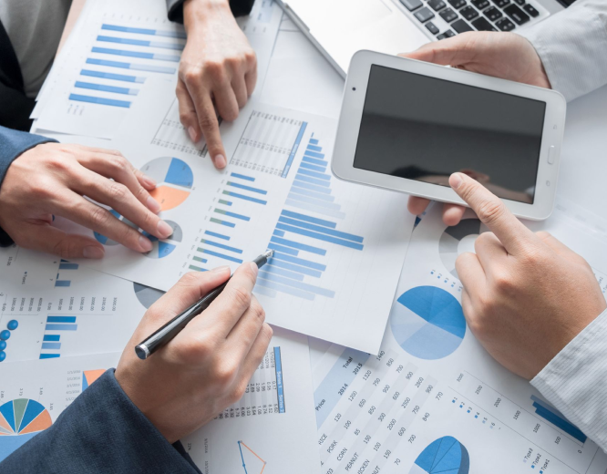 Project Reports & Feasibility Studies - Aureus Chartered Accountants